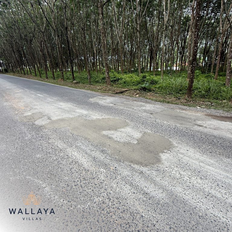caring-for-our-community-wallaya-villas-leads-the-way-in-sustainability-1